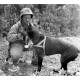 Dogs in service in the US Marine Corps, WWII 