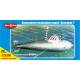 German midget submarine Delphin. Clear plastic edition