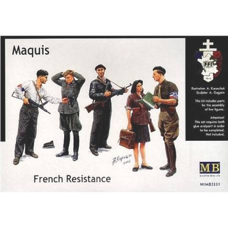 Maquis French Resistance 