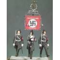 Goose-Stepping Leibstandarte SS AH 