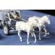  HF.7 Stahlfeldwagen (German Horse drawn Wagon + 2 figures) 