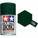 TS-9 Vert Anglais brillant bombe 100ml 