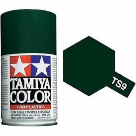 TS9 Vert Anglais brillant bombe 100ml 