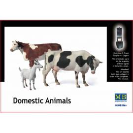 Domestic Animals