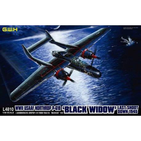 WWII USAAF Northrop P-61B 'Black Widow' Last Shoot Down 1945