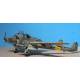 WWII German Focke Wulf Fw189 A2