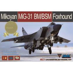 Mikoyan MiG-31BM/BSM Foxhound