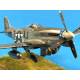 NORTH AMERICAN P-51D MUSTANG FIGHTER