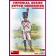 IMPERIAL GUARD DUTCH GRENADIER. NAPOLEONIC WARS