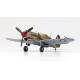 P-40 Tomahawk IIB Ace of African Front|ACADEMY|12235|1:48