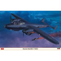 Dornier Do215B-5 "NJG2"