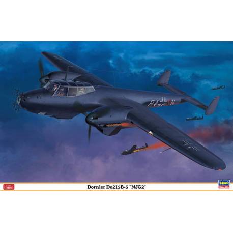 Dornier Do215B-5 "NJG2"