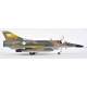 Mirage IIIE/5 EBR / IIIEA / IAI M5 Dagger South America