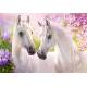 ROMANTIC HORSES