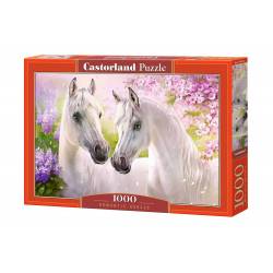 ROMANTIC HORSES