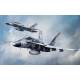 F/A-18A/C/D Aggressor VFC-12 & VFA-204