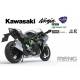 Kawasaki Ninja H2 (Pre-Colored Edition)