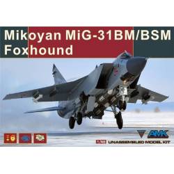 Mikoyan MiG-31BM/BSM Foxhound