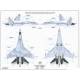 Su-35S `Flanker-E` Multirole Fighter Air to Surface Version