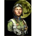 NIGHT WITCHES Soviet Night Bomber Regiment WWII