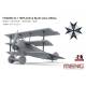 Fokker Dr.I Triplane & Blue Max Medal