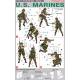 U.S. Marines World's Elite Force Series