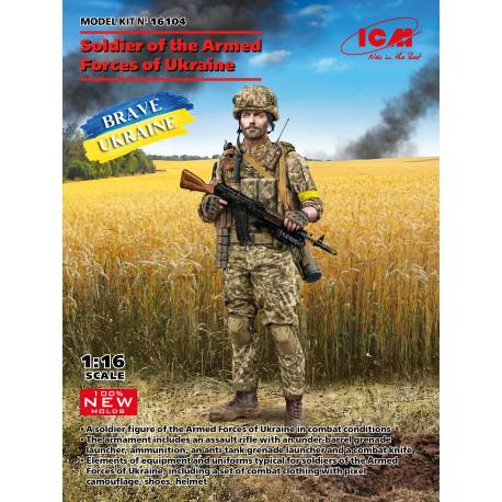 Soldier of the Armed Forces of Ukraine