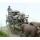 60's-70's Vietnamese Farmer Cattle Cart