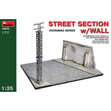 STREET SECTION w/WALL 