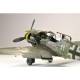 Bf 109G-10 WNF/Diana ProfiPack edition