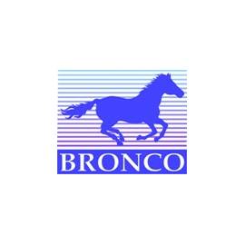 Bronco Models