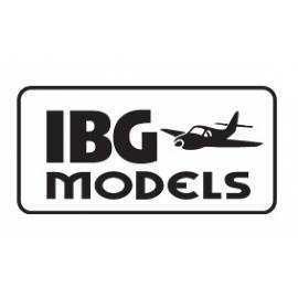 IBG models