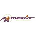 MERIT INTERNATIONAL 