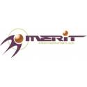 MERIT INTERNATIONAL